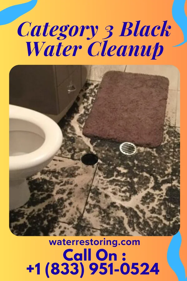 Category 3 Black Water Cleanup in Pikes Creek, PA