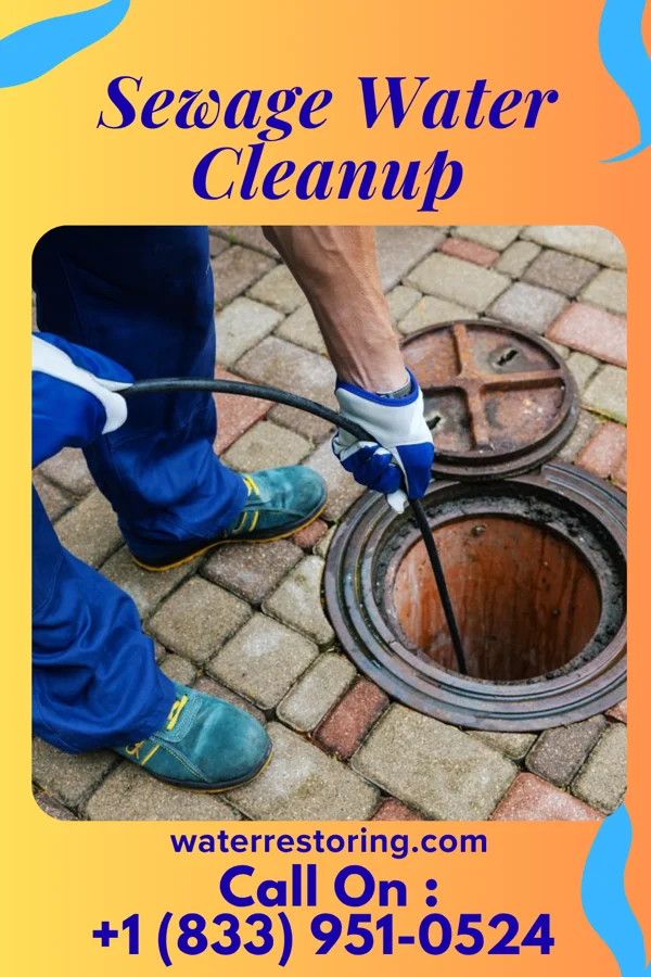 Sewage Water Cleanup in Pikes Creek, PA